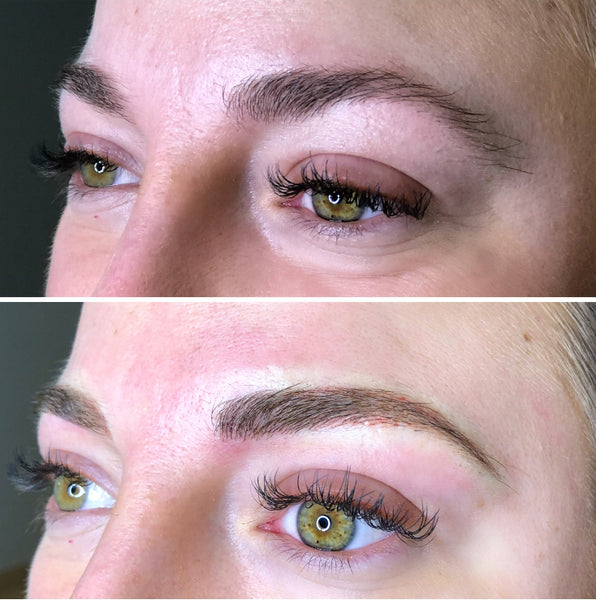 Brows - 3 To 6 Month Touch Up